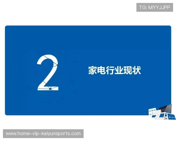 技术亮点综合总结报告（461 ）